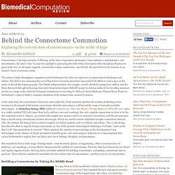 Behind the Connectome Commotion