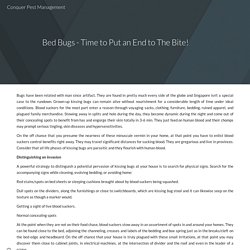 Bed Bugs - Time to Put an End to The Bite!