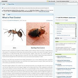 What is Pest Control