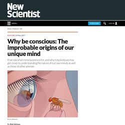 Why be conscious: The improbable origins of our unique mind