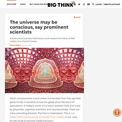 The universe may be conscious, say prominent scientists