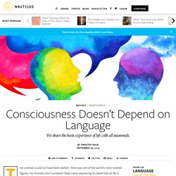 Consciousness Doesn’t Depend on Language - Issue 76: Language
