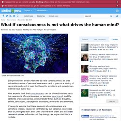 What if consciousness is not what drives the human mind?