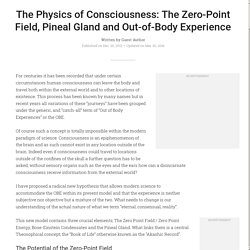 The Physics of Consciousness: The Zero-Point Field, Pineal Gland and Out-of-Body Experience / Evolving Beings