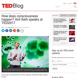 How does consciousness happen? Anil Seth speaks at TED2017