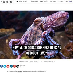 How much consciousness does an octopus have? Or an iPhone?