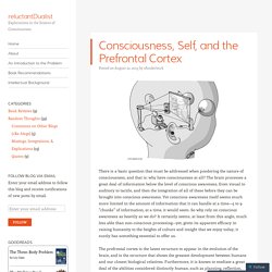 Consciousness, Self, and the Prefrontal Cortex