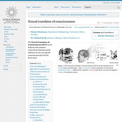 Neural correlates of consciousness