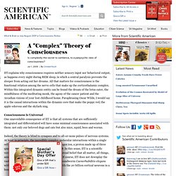 A "Complex" Theory of Consciousness