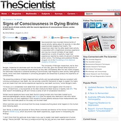 Signs of Consciousness in Dying Brains