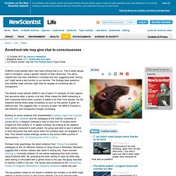 Zoned-out rats may give clue to consciousness - life - 12 October 2011