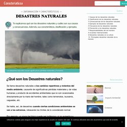 Desastres Naturales: causas, consecuencias y características