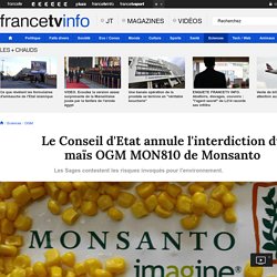 FRANCE TV INFO 15/04/16 Le Conseil d'Etat annule l'interdiction du maïs OGM MON810 de Monsanto Les Sages contestent les risques invoqués pour l'environnement.