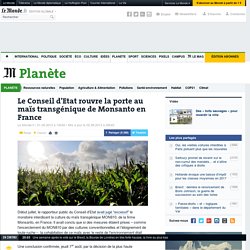 Le Conseil d'Etat rouvre la porte au maïs transgénique de Monsanto en France