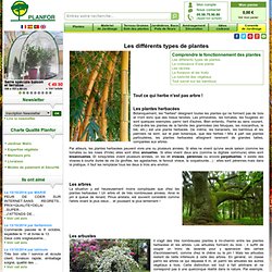 PLANFOR Conseils de Jardinage : Les différents types de plantes