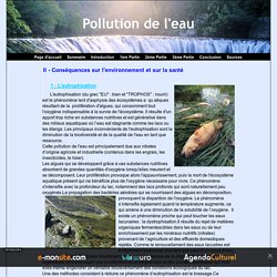 II - Conséquences sur l'environnement et sur la santé