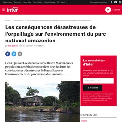 Les conséquences désastreuses de l'orpaillage sur l'environnement du parc national amazonien