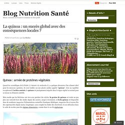 La quinoa : un succès global avec des conséquences locales ? « Blog Nutrition Santé