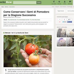 3 Modi per Conservare i Semi di Pomodoro per la Stagione Successiva