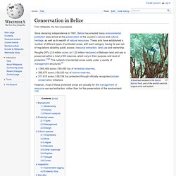 Conservation in Belize