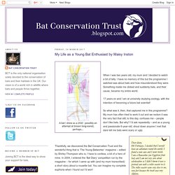 *****My Life as a Young Bat Enthusiast by Maisy Inston