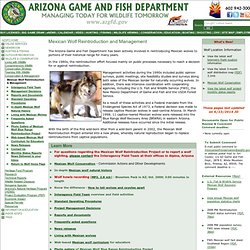 Arizona Mexican Wolf Conservation and Management