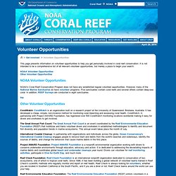 s Coral Reef Conservation Program: Volunteer Opportunities