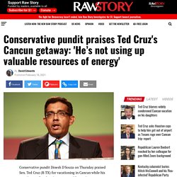 Conservative pundit praises Ted Cruz's Cancun getaway: 'He’s not using up valuable resources of energy' - Raw Story - Celebrating 16 Years of Independent Journalism