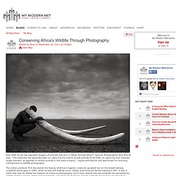 Conserving Africa's Wildlife Through Photography