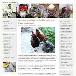 Free-range hens: What you should consider before letting your flock out. - Kitchen Garden