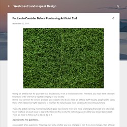 Factors to Consider Before Purchasing Artificial Turf