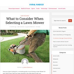 What to Consider When Selecting a Lawn Mower – Viral Magics