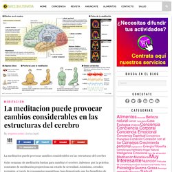 La meditacion puede provocar cambios considerables en las estructuras del cerebro