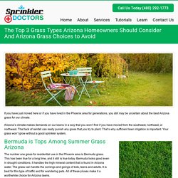 The Top 3 Grass Types Arizona Homeowners Should ConsiderAnd Arizona Grass Choices to Avoid - Sprinkler DoctorsSprinkler Doctors