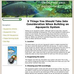 5 Things You Should Take Into Consideration When Building an Aquaponic System - Build Your Own Aquaponics