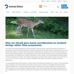 Why we should give moral consideration to sentient beings rather than ecosystems - Animal Ethics