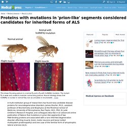 Proteins with mutations in 'prion-like' segments considered candidates for inherited forms of ALS
