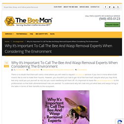Why It's Important To Call The Bee And Wasp Removal Experts When Considering The Environment