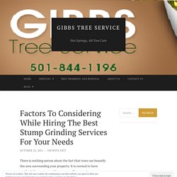 Factors To Considering While Hiring The Best Stump Grinding Services For Your Needs