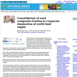 Consolidation of seed companies leading to corporate domination of world food supply