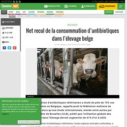 L AVENIR 26/03/15 Net recul de la consommation d’antibiotiques dans l’élevage belge
