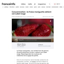 FRANCE INFO 14/04/21 Consommation : la fraise mariguette obtient son Label rouge