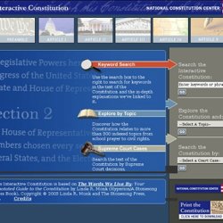 Interactive Constitution