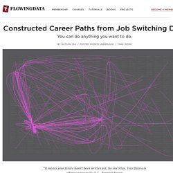 Constructed Career Paths from Job Switching Data