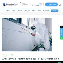 Anti-Termite Treatment to Secure Your Construction Inside Out - Cleanomatics