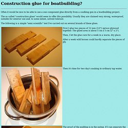 Construction glue for boatbuilding?