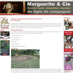 Construction d'un habitat extérieur permanent pour lapin - Marguerite et Cie.