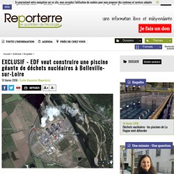 EXCLUSIF - EDF veut construire une piscine géante de déchets nucléaires à Belleville-sur-Loire