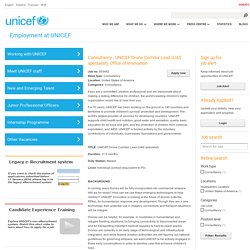 Jobs - Job Details - Consultancy - UNICEF Drone Corridor Lead (UAS specialist), Office of Innovation