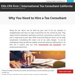 Why You Need to Hire a Tax Consultant – Ellis CPA Firm